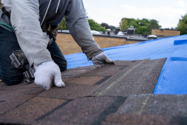 Best Flat Roof Repair Services  in Allendale, SC